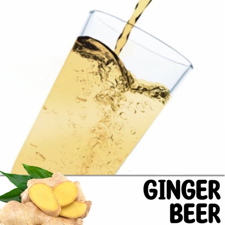 Limonáda BUMBI s příchutí zázvoru Ginger beer 1l