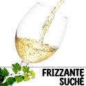 Frizzante suché 1l (stáčené včetně lahve)