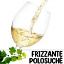 Frizzante polosuché 1l (stáčené včetně lahve)