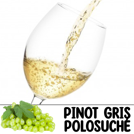 Pinot Gris - Polosuché 1l (včetně PET lahve)